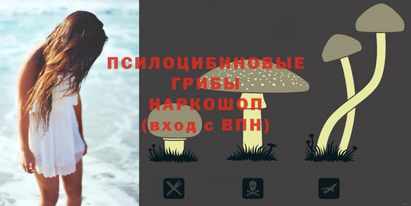гидра Абаза