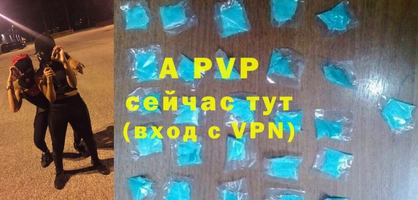 гидра Абаза