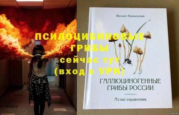 эйфоретик Приозерск