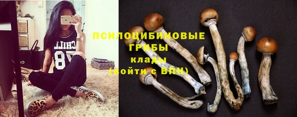 а пвп мука Протвино