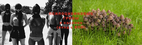 стаф Абинск
