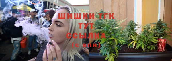 гидра Абаза