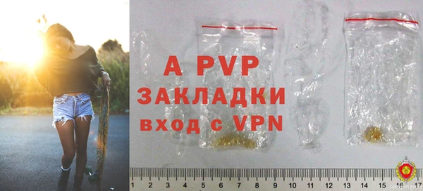 прущие грибы Весьегонск